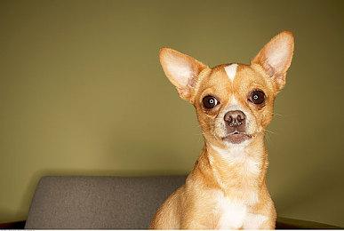 《影之刃零》亮相未来游戏展 一小时试玩与全新PV！